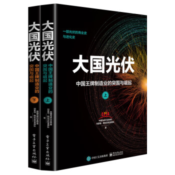 大国光伏：中国王牌产业崛起之路（套装上下册） 下载