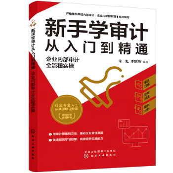 新手学审计从入门到精通：企业内部审计全流程实操 下载
