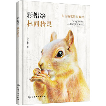 彩色铅笔绘画教程--彩铅绘——林间精灵 下载