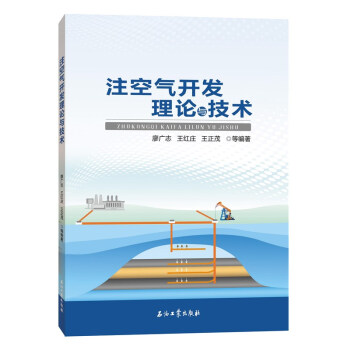 注空气开发理论与技术 下载