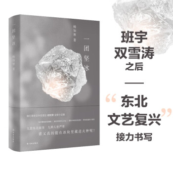一团坚冰(萧红青年文学奖得主杨知寒全新小说集) 下载
