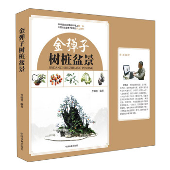 金弹子树桩盆景 下载