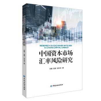 中国资本市场汇率风险研究 下载