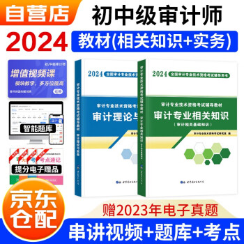2024初中级审计师辅导教材 审计理论与实务+审计相关专业知识（套装共2册）赠网课+题库软件含章节练习真题模拟 下载