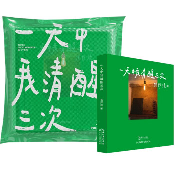 一天中我清醒三次 小红书诗人焦野绿原创诗集 现代诗歌 破除焦虑书籍 下载