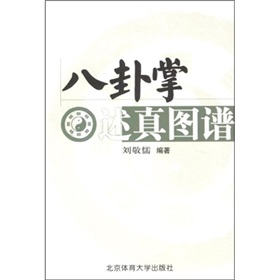八卦掌述真图谱 下载