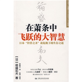 在萧条中飞跃的大智慧 下载