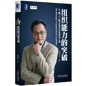 组织能力的突破：从杨三角看领先企业成功之道 下载