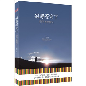 寂静苍穹下：回不去的旅人 下载