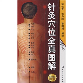 针灸穴位全真图解》 下载