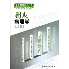 图表病理学 下载