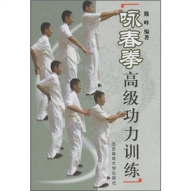 咏春拳高级功力训练 下载