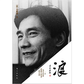 浪：一个为自由而浪迹天涯者的自述 下载