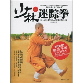 少林迷踪拳 下载