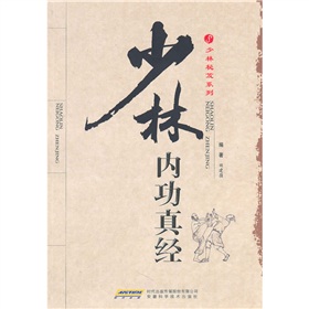 少林内功真经 下载