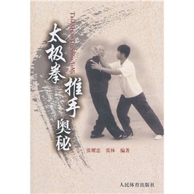 太极拳推手奥秘 下载