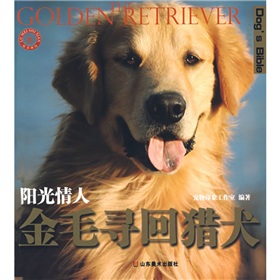 金毛寻回猎犬 下载