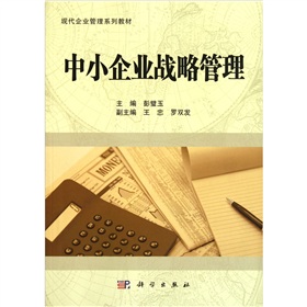  中小企业战略管理-  下载