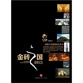 金砖之国：一部新兴市场的成长传奇 下载