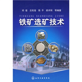 铁矿选矿技术 下载