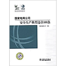 国家电网公司安全生产典型违章100条 下载