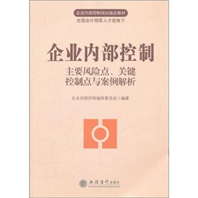 企业内部控制培训指定教材·企业内部控制：主要风险点、关键控制点与案例解析 下载