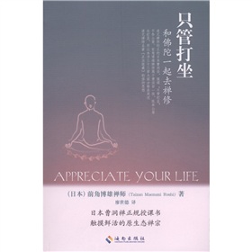 只管打坐：和佛陀一起去禅修 下载
