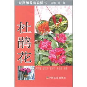 杜鹃花 下载