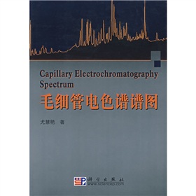 毛细管电色谱谱图