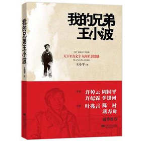 我的兄弟王小波 下载