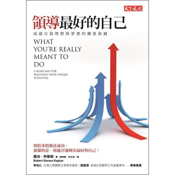 領導最好的自己：成就自我理想與夢想的職涯旅圖 下载