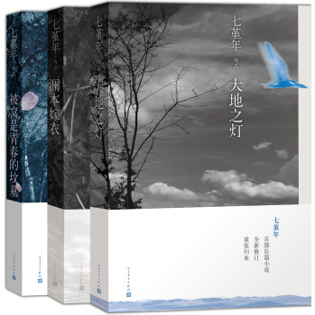 七堇年作品（套装共3册） 下载