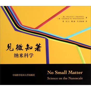 见微知著：纳米科学 下载