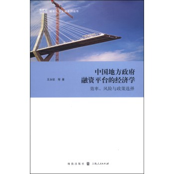 中国地方政府融资平台的经济学：效率、风险与政策选择 下载