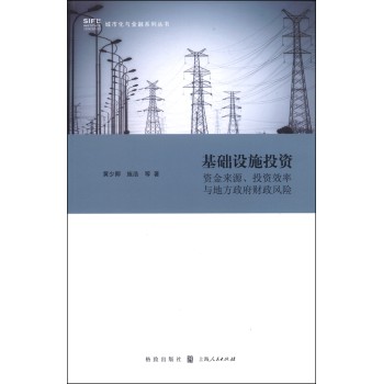 基础设施投资：资金来源、投资效率与地方财政风险 下载