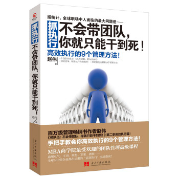 抓执行：不会带团队，你就只能干到死！ 下载