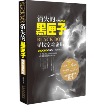消失的黑匣子：寻找空难密码 下载