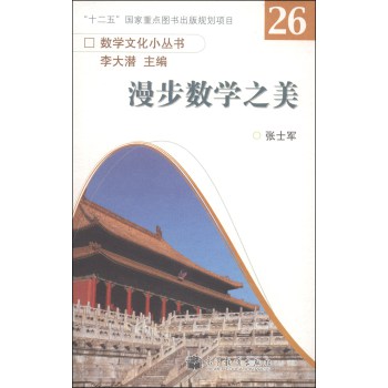 数学文化小丛书：漫步数学之美 下载