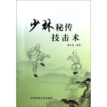 少林秘传技击术 下载