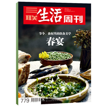 三联生活周刊2014年第13期 下载