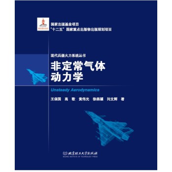 非定常气体动力学 下载