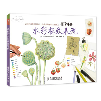植物的水彩极致表现 下载