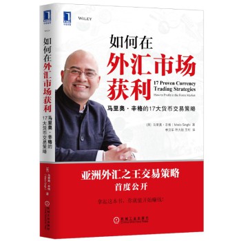 如何在外汇市场获利：马里奥·辛格的17大货币交易策略 下载