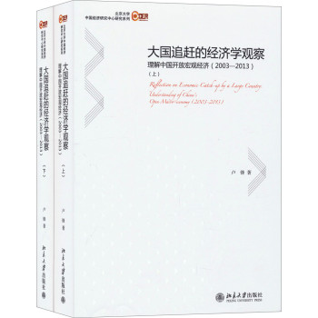 大国追赶的经济学观察：理解中国开放宏观经济（2003-2013 套装上下册） 下载