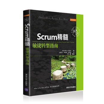 Scrum精髓：敏捷转型指南 下载