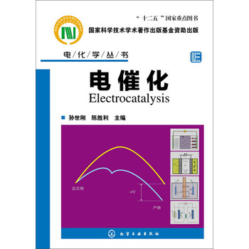 电化学丛书：电催化 下载