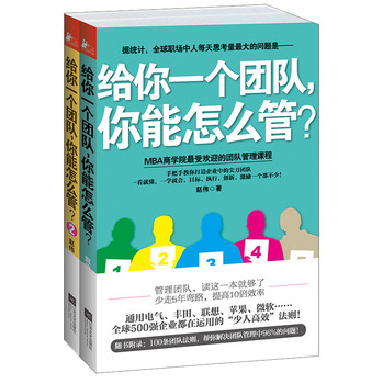 给你一个团队，你能怎么管（套装全2册） 下载