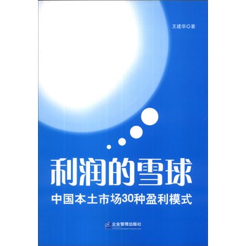 利润的雪球：中国本土市场30种盈利模式 下载