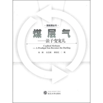 新能源丛书·煤层气：浪子变宠儿 下载