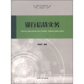 银行实务培训系列丛书：银行信贷实务 下载